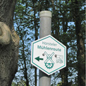 Hörsteler Mühlenroute&nbsp;&copy;&nbsp;Stadt Hörstel